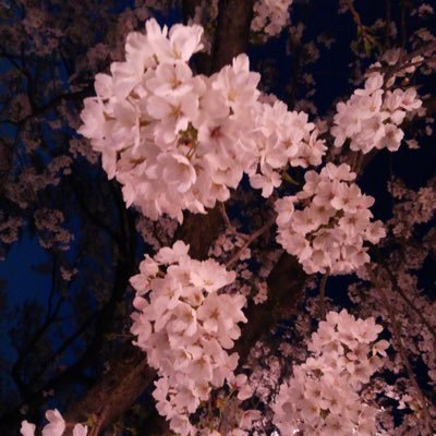 dc296specr's profile picture. 