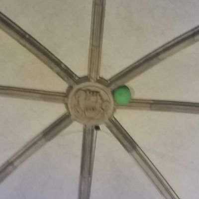 happygo61419485's profile picture. 