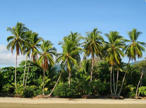 CostaRicaFunSun's profile picture. Budget travel in Costa Rica is what you're look for? follow us, we tweet deals as they show up, Tours, Accommodations, Transport, Activities and things to do.