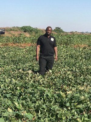 Regional Director for Africa at International Potato Center (CIP)