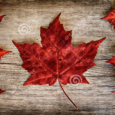 Russ36484181's profile picture. Reject Racism, Globalism, Socialism, & Trudeau. Embrace Tolerance, Nationalism, Capitalism, & Conservatism #TrudeauMustGo