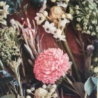 Ara🌸 (@ara64704778) Twitter profile photo