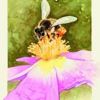 El País del Abeyeiro (@paisdelabeyeiro) 's Twitter Profile Photo