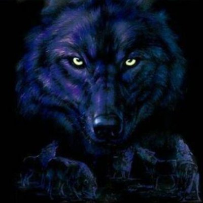 nightwolf780's profile picture. Possible CTF Addict
Member of CXP CTF team