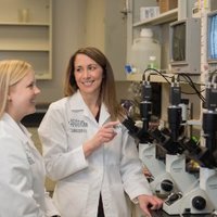 Julie Freed Lab (@labfreed) 's Twitter Profile Photo Julie Freed Lab (@labfreed) 's Twitter Profile Photo