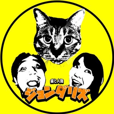 猫と人間ジョンダリズ やたら鳴くなって思ったらウィケットの槍に爪が引っかかって途方に暮れてた 猫 猫部 猫好きさんと繋がりたい キジトラ 猫のいる暮らし ねこ ネコ ねこのいる生活 Cat ジョンダリ Youtube ユーチューブ 猫と人間