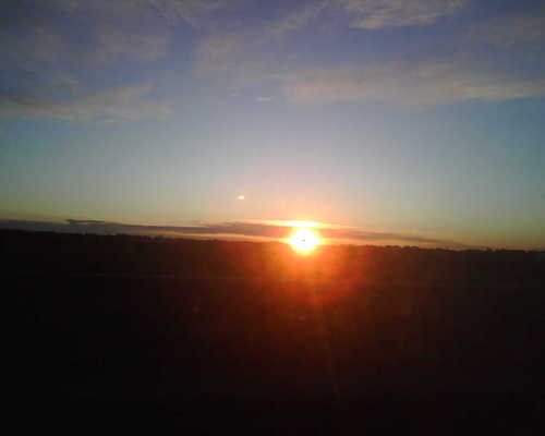 mauromauro_it's profile picture. Non c'e' piu' niente da dire....