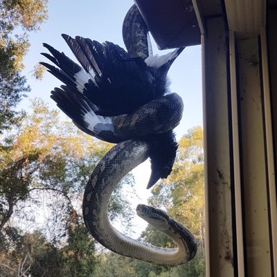 oo06341467's profile picture. 