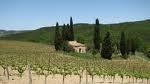 You enjoy triping, tasting wine, discovering new flavors and meeting new people...
Follow us in a road of wine cultural trip near the Mediterranean Sea!
