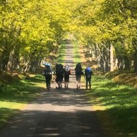 SASB_DofE (@dofesasb) 's Twitter Profile Photo SASB_DofE (@dofesasb) 's Twitter Profile Photo