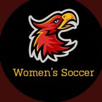 FirestormWS (@firestormws) 's Twitter Profile