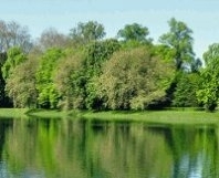 Actualités et découverte de la région Ile-de-France au travers d'un territoire qui a la Seine et la Forêt en partage