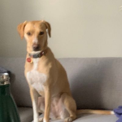 mpetrawong's profile picture. HEHEHEHEHE