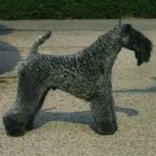 seanmet's profile picture. 