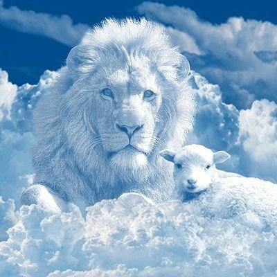 jayhen219's profile picture. Yeshua is Lord!Rabbi, Adoni, Teacher, Friend, Counselor, Brother! I Abide in his spirit. The FATHER is ALL. Follow the teachings of Yeshua not man.