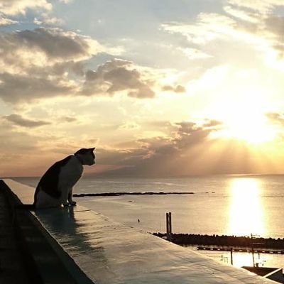マック&シュンカナ102@Chiichan is Gone 1st Live 7/24✨️さんのプロフィール画像