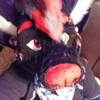 lvl 18 f, i am a ohio furr. i am also a artist and fursuiter and i enjoy many things like gameing and so on, you can find my art on furry amino