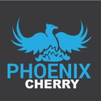 Phoenix @ Cherrycrest Dr(@pnxcherry) 's Twitter Profile Photo