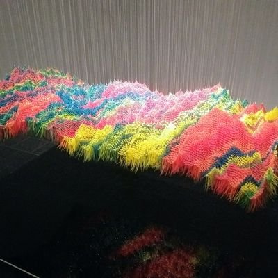 PeterYacobucci's profile picture. Relentlessly optimistic