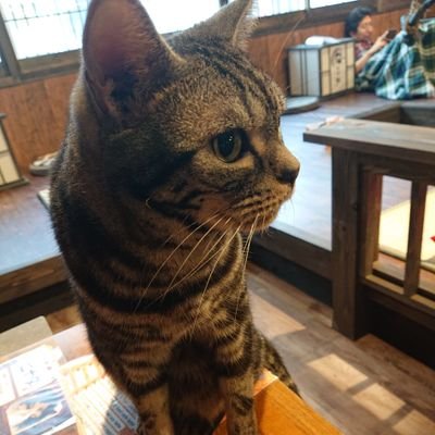 野球好き。
旅行好き。
お笑い好き。
食べ物好き。
音楽好き。
いろんな人とお話ししたいです(*´ω`)♪
#通話垢
