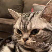 Daniel Yung (@daniely28757079) 's Twitter Profile