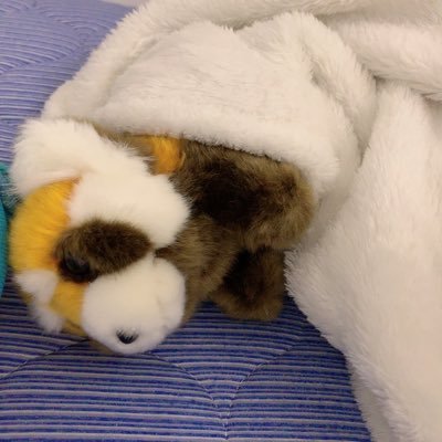 JL_OIIIIIIIO's profile picture. ♡