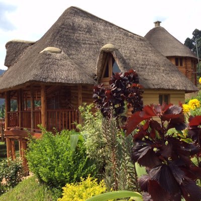 TuryatembaMoses's profile picture. CEO Trackers Safari Lodge Bwindi