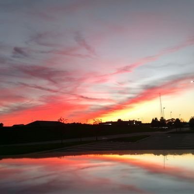 MYoder96's profile picture. 