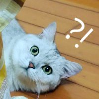 蒲月 (@pupunangua) 's Twitter Profile Photo 蒲月 (@pupunangua) 's Twitter Profile Photo