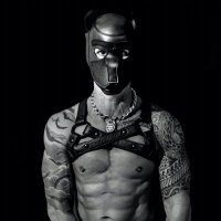 Pup KILO 🐾 (@gryphonashe) 's Twitter Profile Photo Pup KILO 🐾 (@gryphonashe) 's Twitter Profile Photo