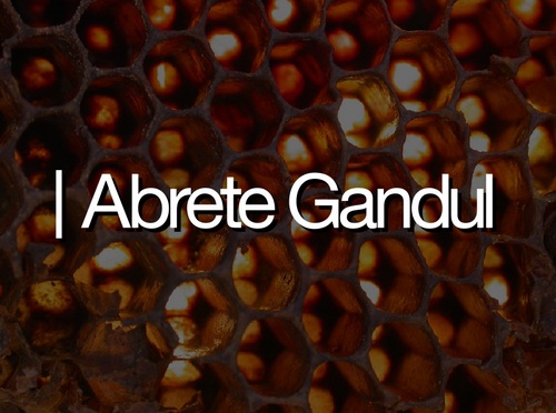 ...Buscando explorar y abrir los sentidos a través de la música desde hace más de una década...
http://t.co/IqEU992e73