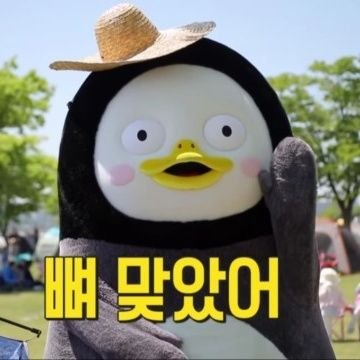 펭수덕질계