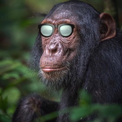 appypeoples's profile picture. “Being president is like running a cemetery: you've got a lot of people under you and nobody's listening” Bill Clinton