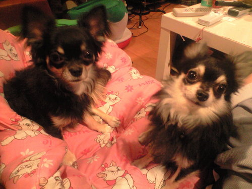 Nakky21's profile picture. 