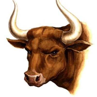 ChInvested's profile picture. Tgm: @invested_ch