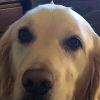 SweeyMy's profile picture. 