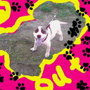 jade chastain - @shortylo3300 - Twitter