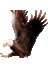 czzebra's profile image