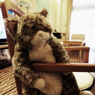 中村屋スピリッツを受継いでる中村屋門弟の皆さん➕中村芝のぶさん(小山三さん、千彌さん)が贔屓。
普段着物に憧れてる介護福祉士。
突然のフォローすみません。