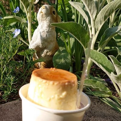 projectr123's profile picture. 夜空と車がすきです。 好物は大砲ラーメン。