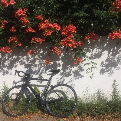 ffiplant's profile picture. hi