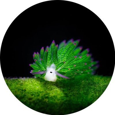 rosieresT3's profile picture. doing stuff for @particlproject ... probably nothing