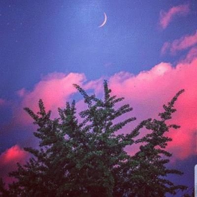 SunrRisen's profile picture. ﴿ الا بِذكْر الله تطمئنُ القلُوبْ ﴾
