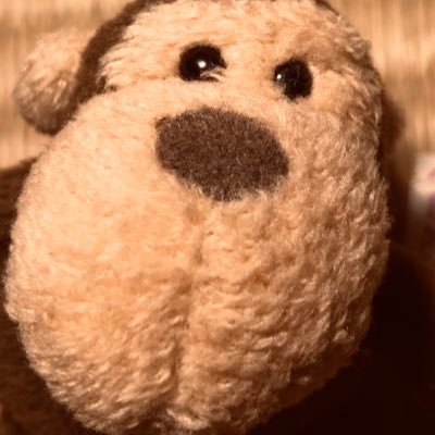 GoQxlLxpKe0H9fn's profile picture. 