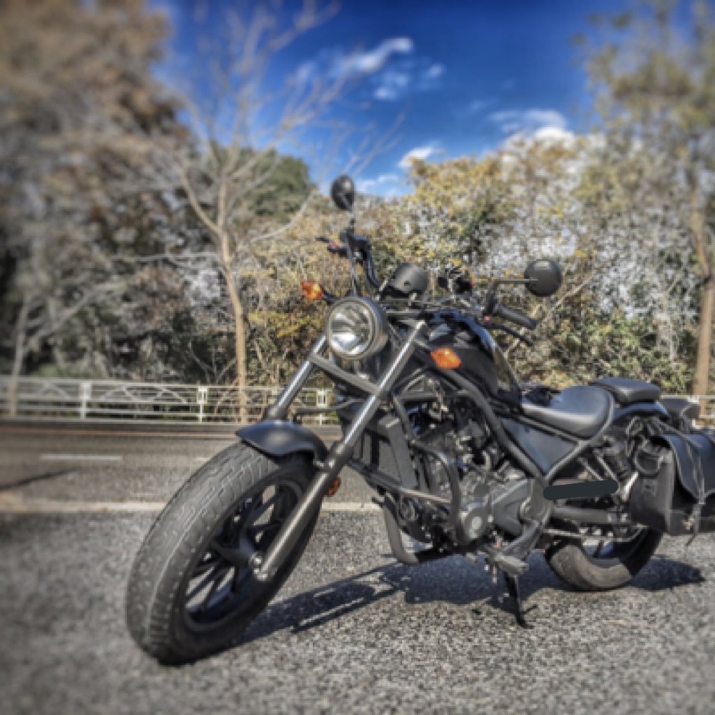 突如バイクに乗りたい衝動に駆られ二輪免許取得女性🏍STAY GREEN 〜初心忘れず〜B'zと猫LOVE 生活、カブ110増車しました