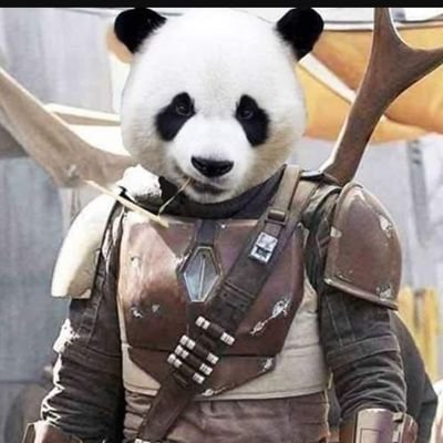 Poker of daemons, Popper of locks, Diver of Dumpsters, Bourbon plz thx, Lover of lulz. NOT A ROBOT..?🤖 They might be Pandas 🐼🦝🐼 Something/Something/Darkside