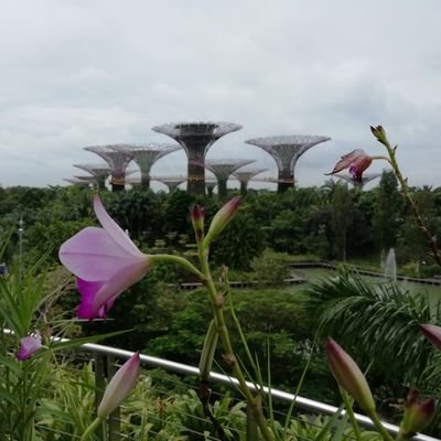 catFurr0's profile picture. I like dark chocolate 😋 | Views personal | Retweets are not endorsement.