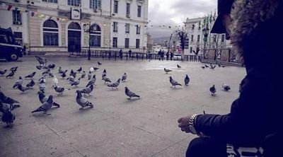 MOHAMED93933's profile picture. ‏‏‏‏‏‏يجمعنا الحق ويفرقنا الباطل