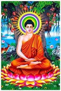 clzH2mxDMw6k4xk's profile picture. 