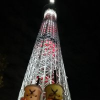 なぽりん (@naporinchan_55) Twitter profile photo